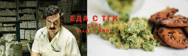 индика Алексин