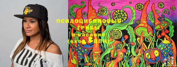 индика Алексин
