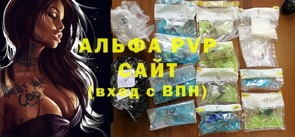 индика Алексин