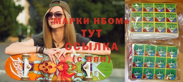 индика Алексин