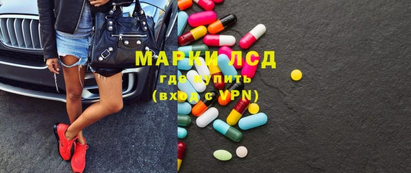 индика Алексин