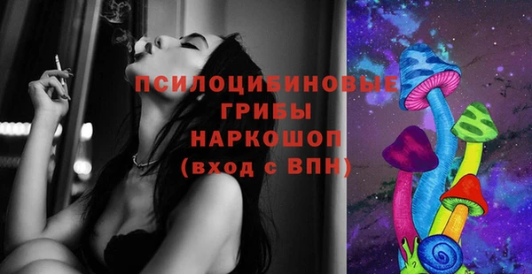 индика Алексин