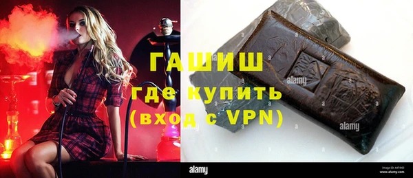 индика Алексин