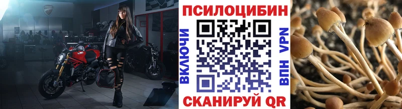 гидра зеркало  как найти закладки  Пермь  Галлюциногенные грибы Psilocybe 