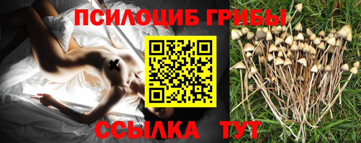 Галлюциногенные грибы Psilocybine cubensis  Вход с VPN  Галлюциногенные грибы мицелий  Пермь 